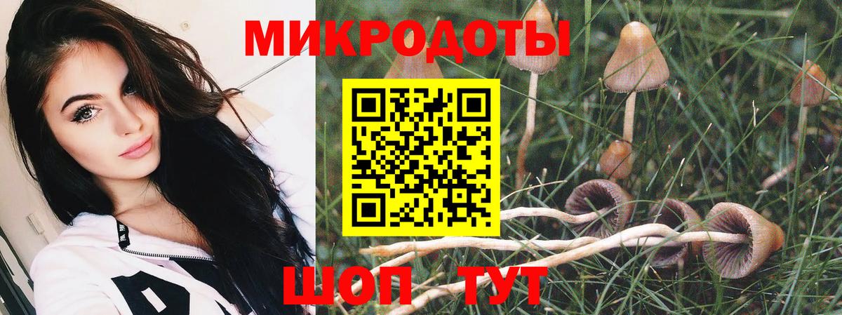 Миасс  Галлюциногенные грибы Psilocybine cubensis  Псилоцибиновые грибы Magic Shrooms  Вход с VPN 